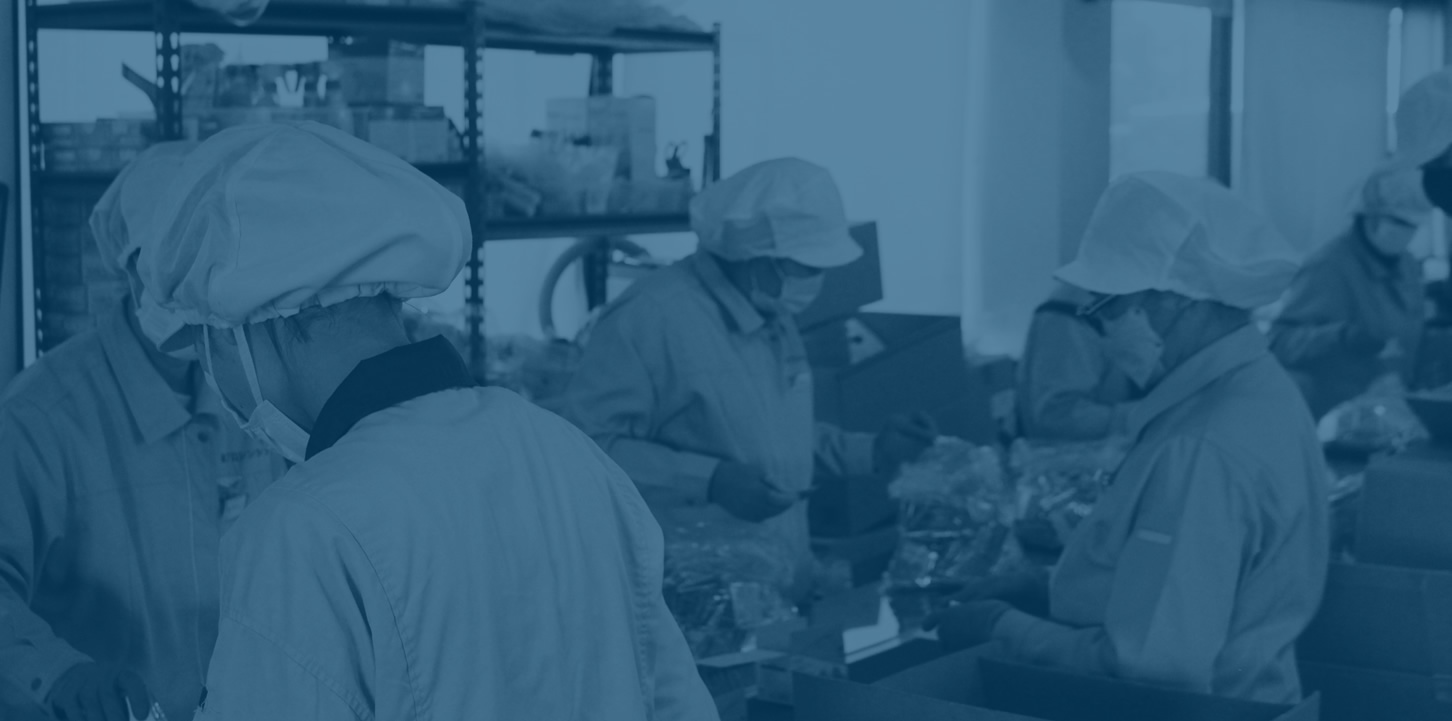 OEMソリューションカンパニー　プロシンシア